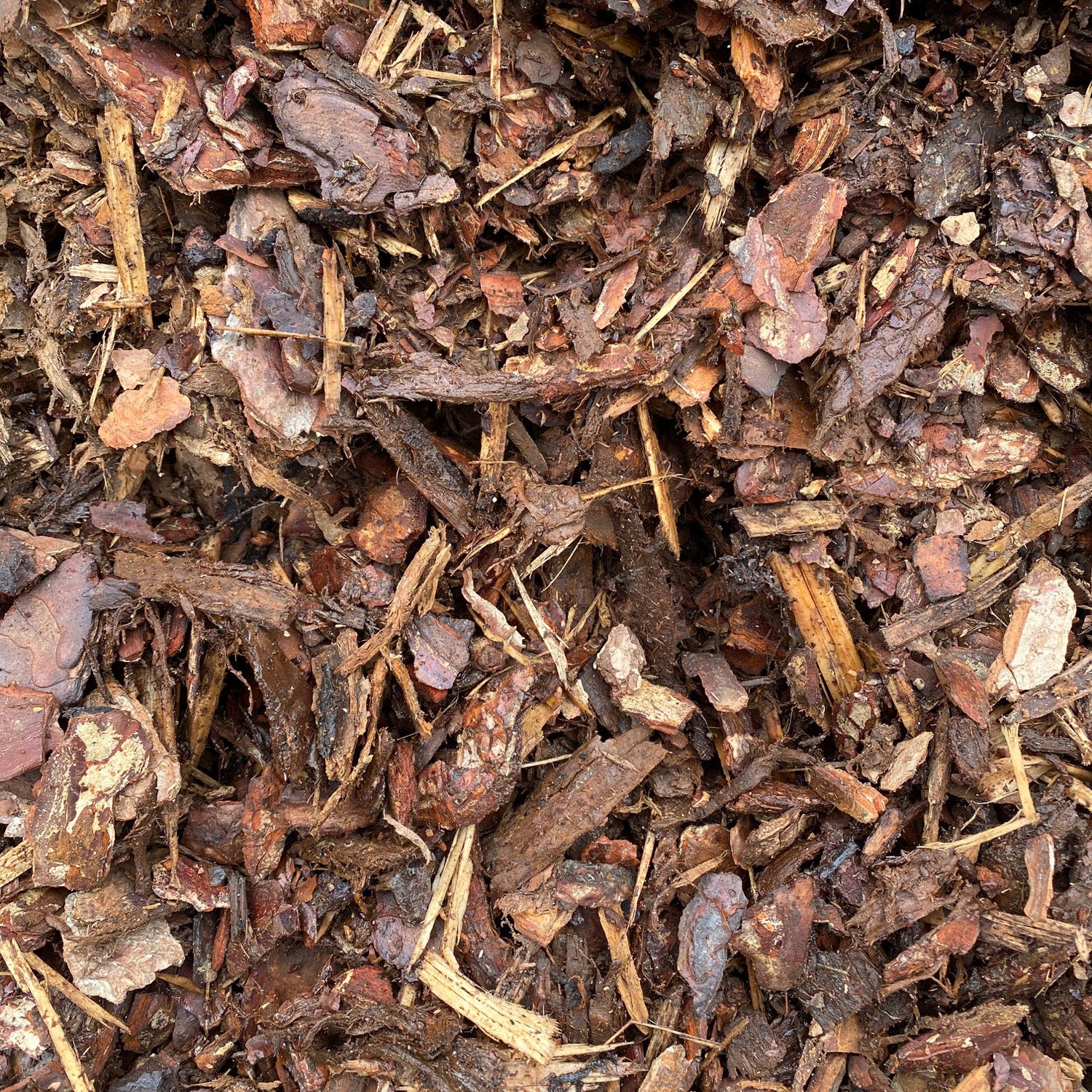 Bark Mulch