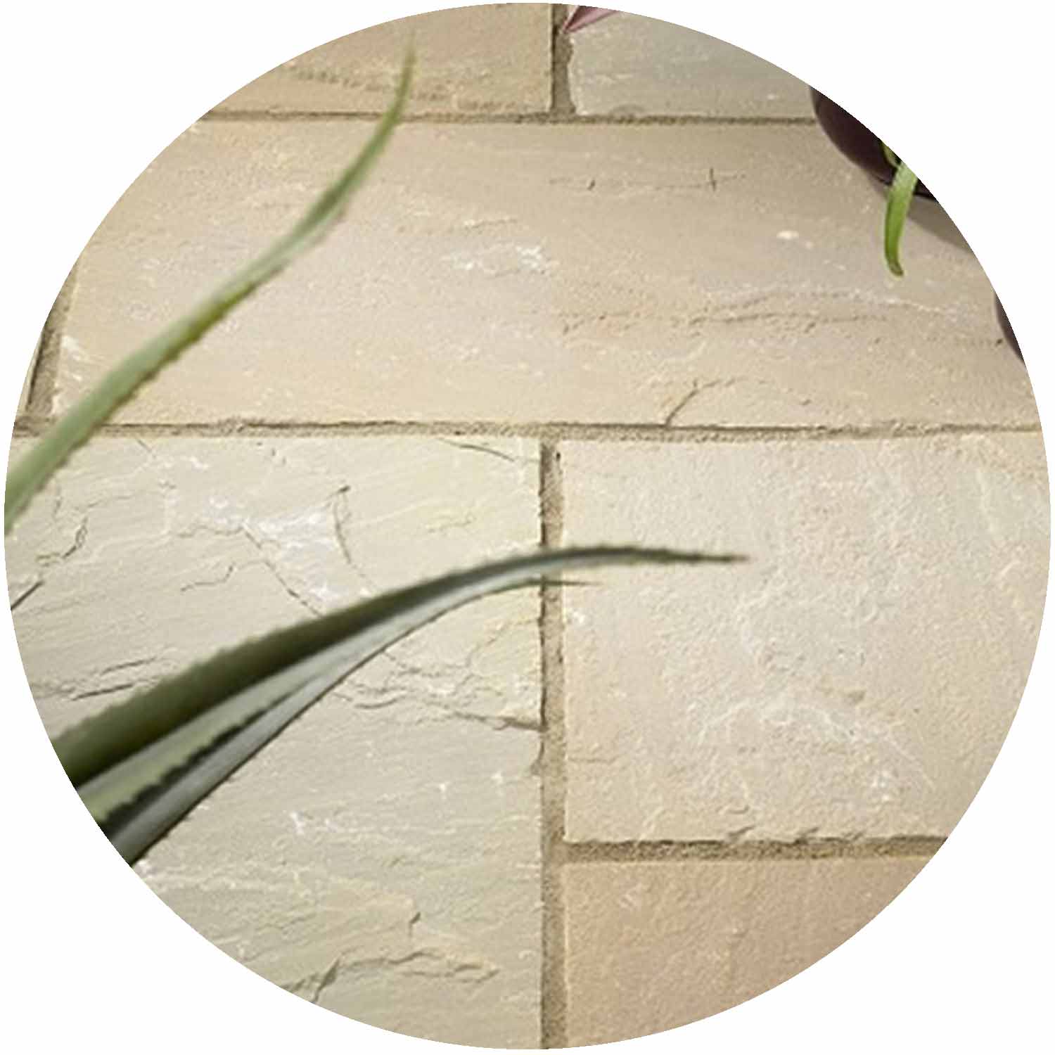 Autumn Brown Sandstone Paving per mtr