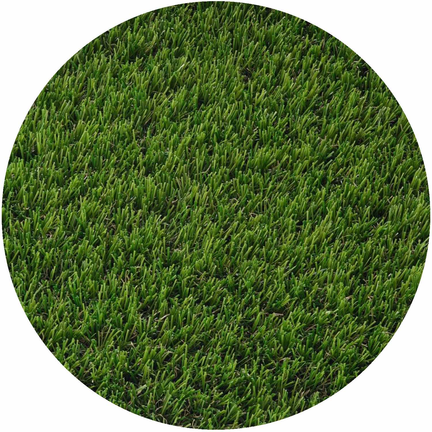 Blitz 37mm Pile Artificial Grass per mtr