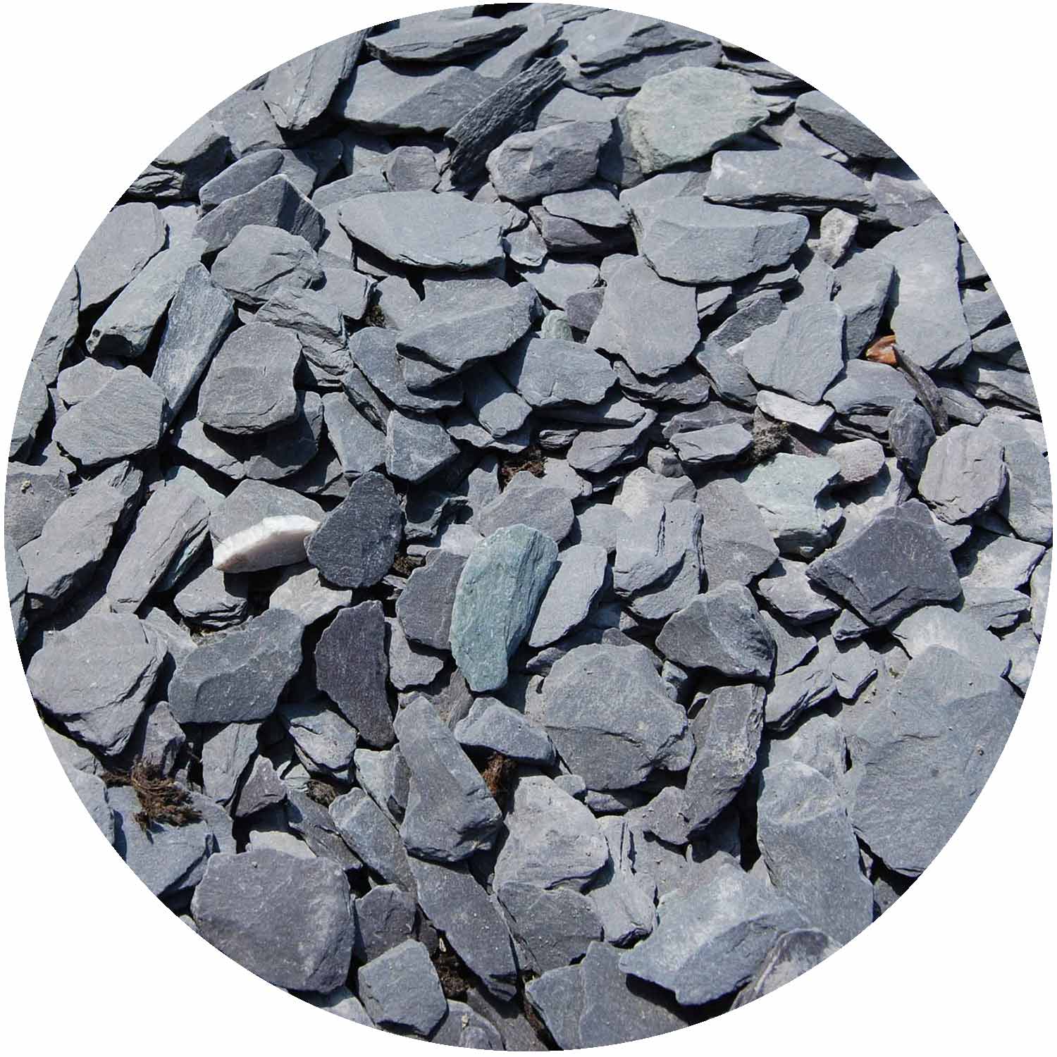 Blue Slate Chippings 20mm Bulk Bag