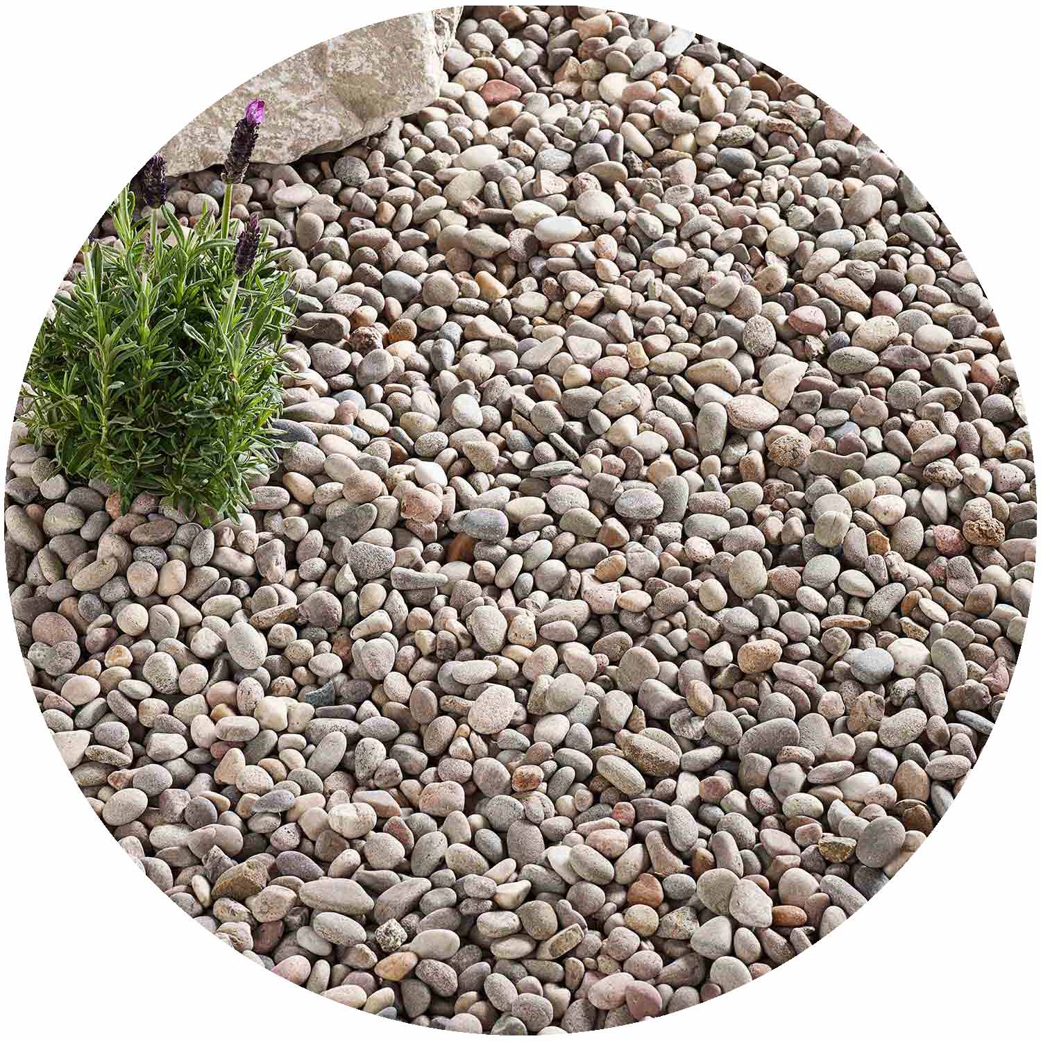 Premium Caledonian Pebbles Bulk Bag