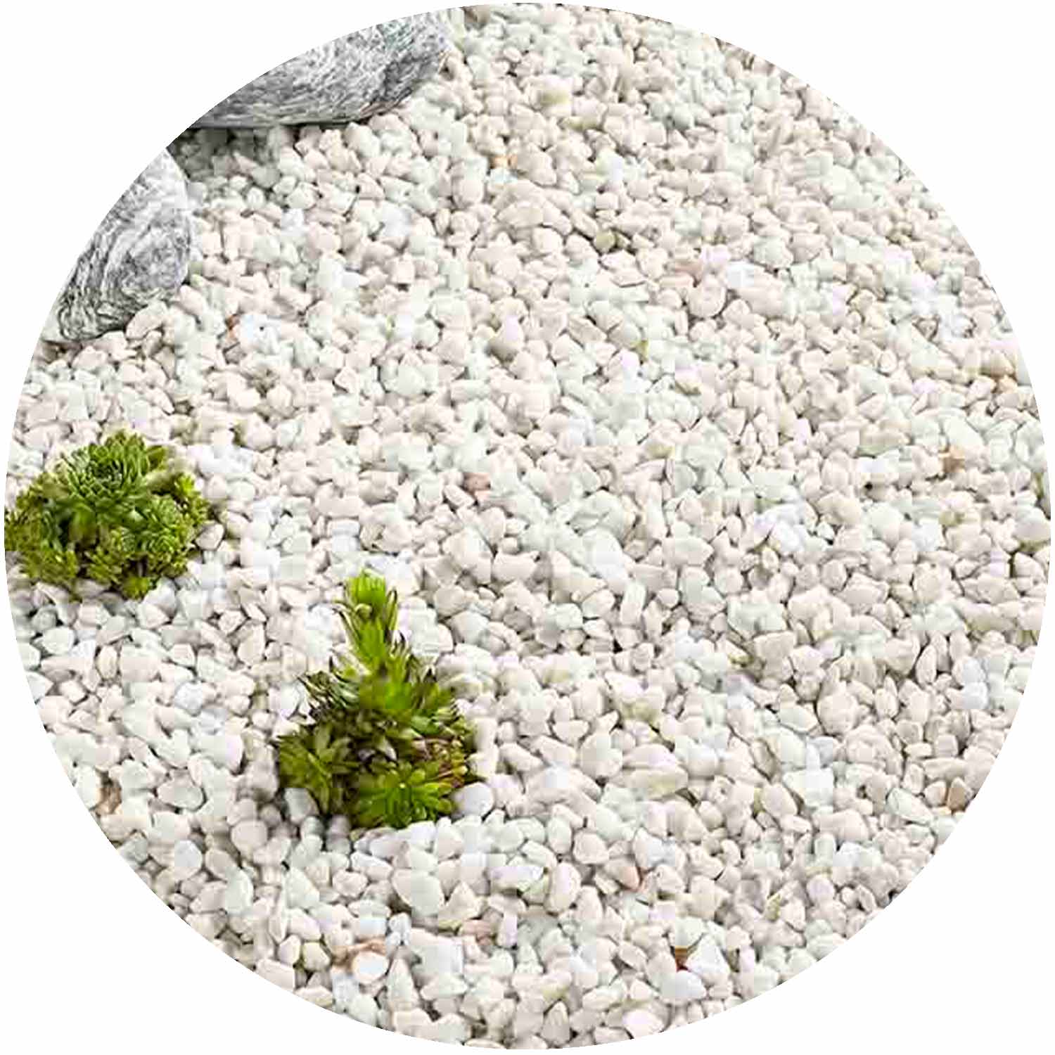 French Pearl Chippings Bulk Bag