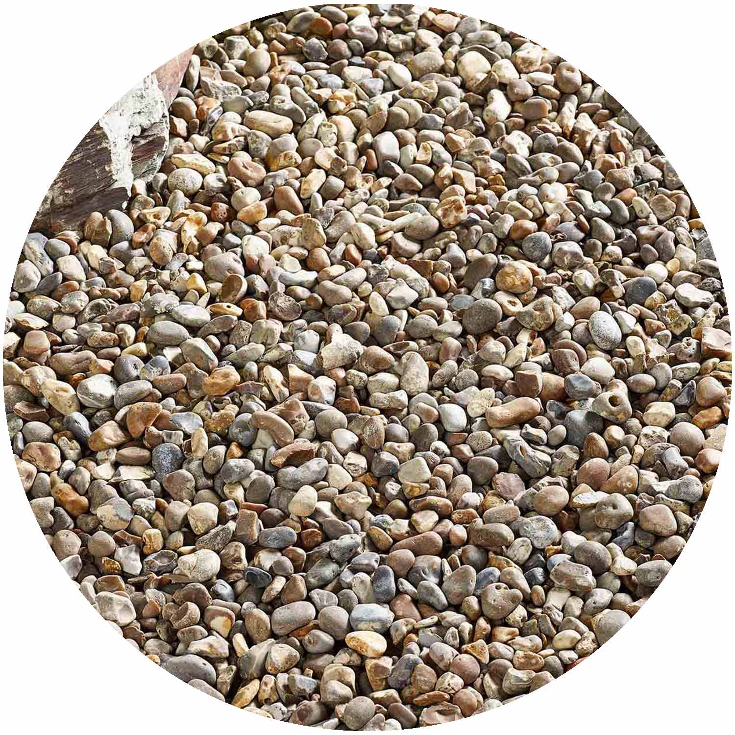 Oyster Pearl Pebbles Bulk bag