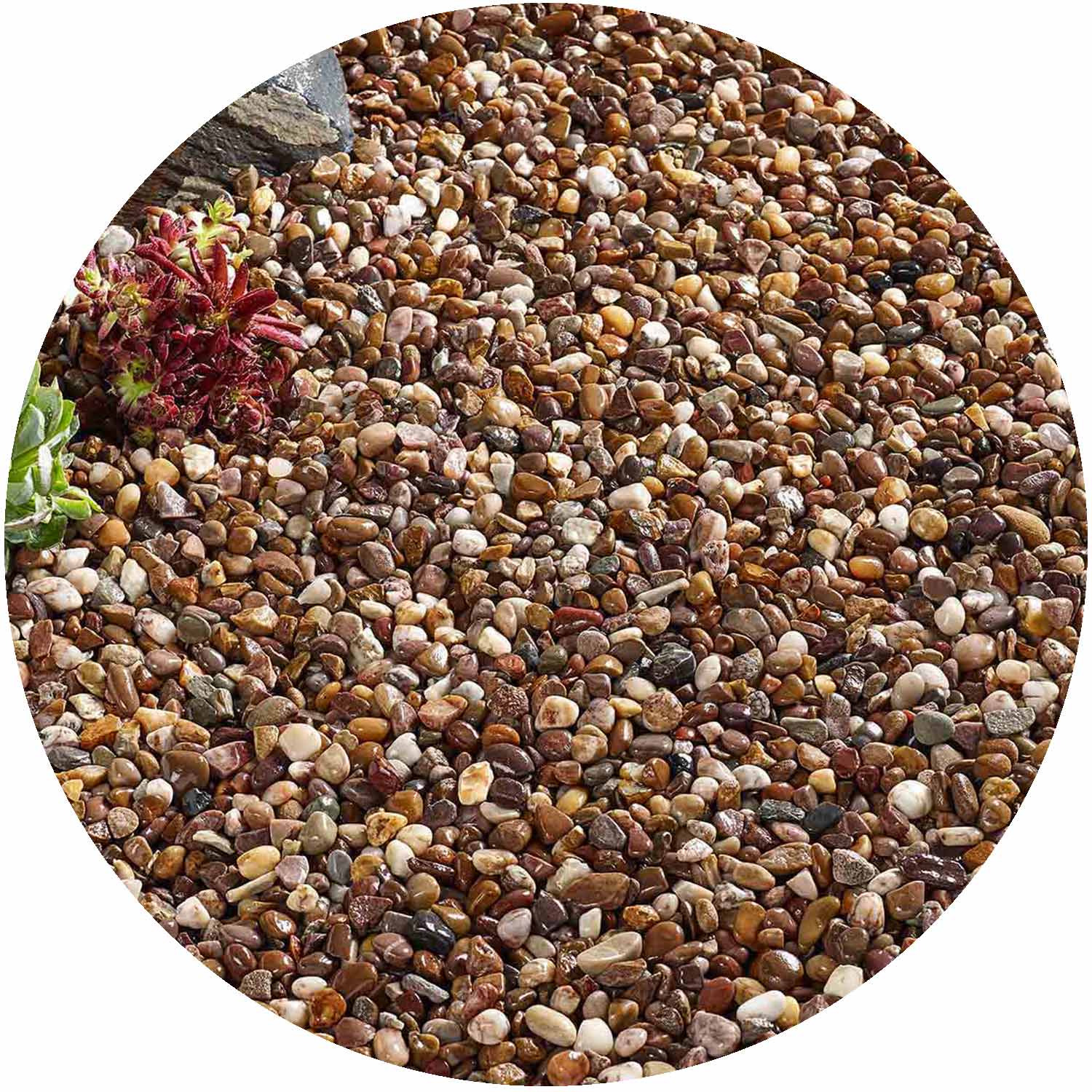 Premium Quartzite Pea Gravel 10mm Bulk Bag