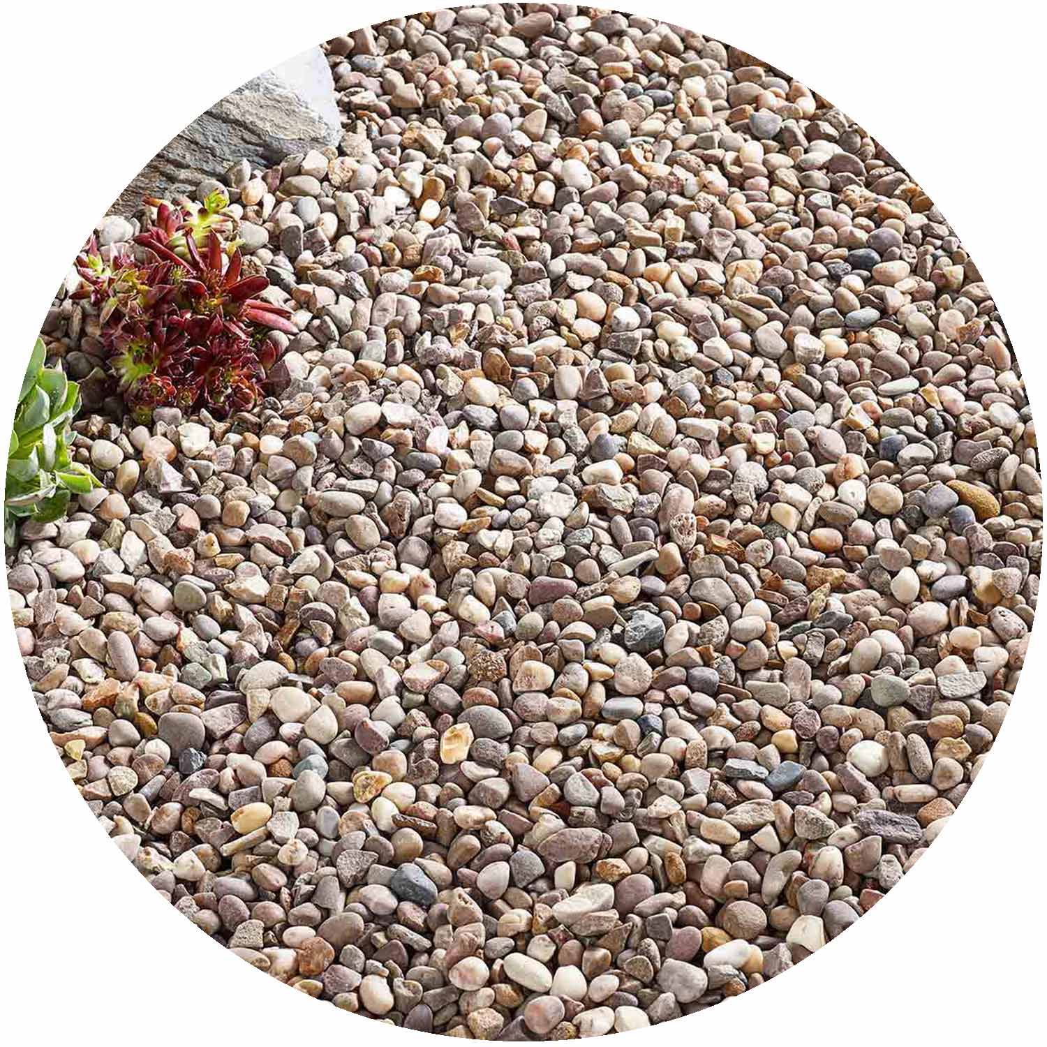 Premium Quartzite Pea Gravel 10mm Bulk Bag