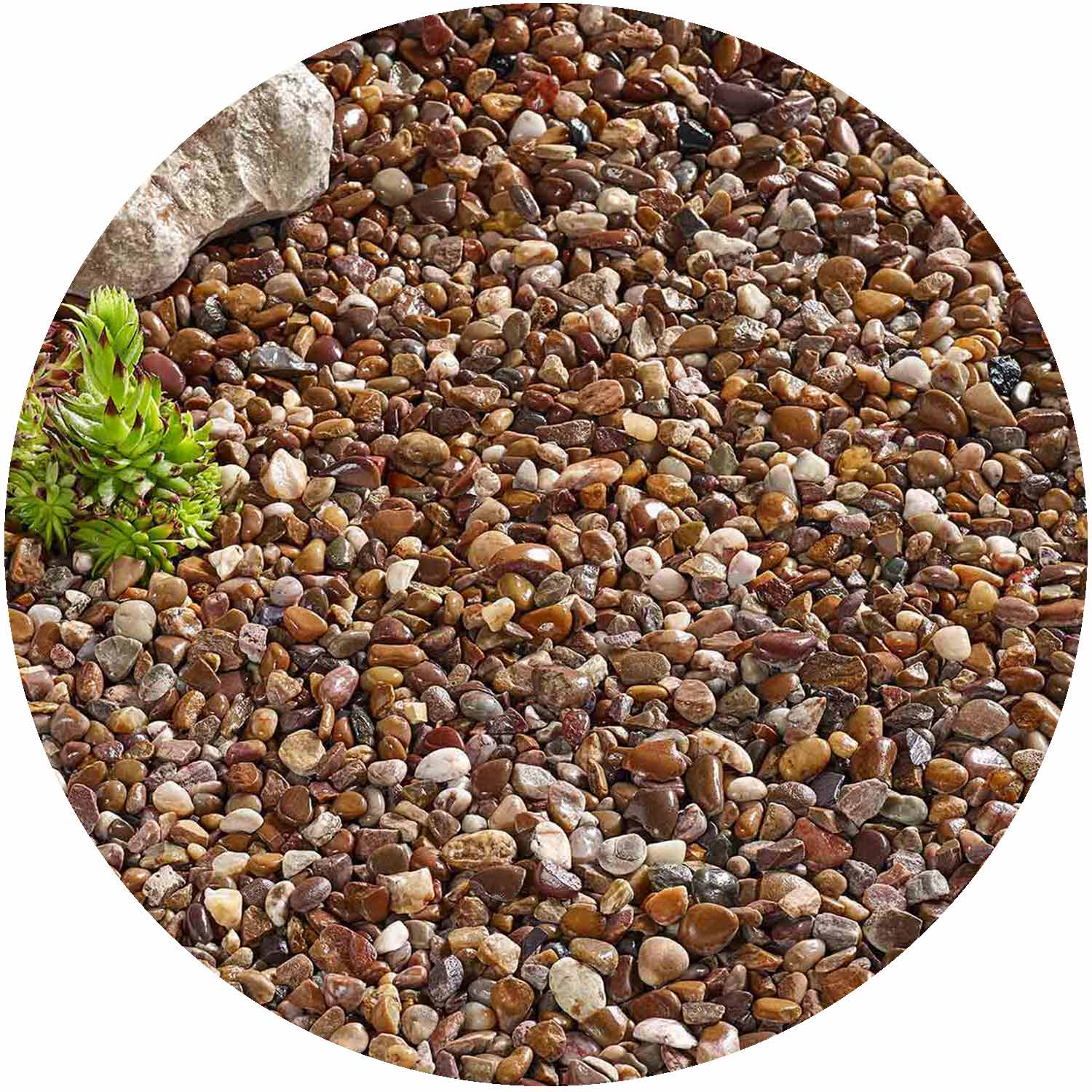 Premium Quartzite Pea Gravel 20mm Bulk Bag