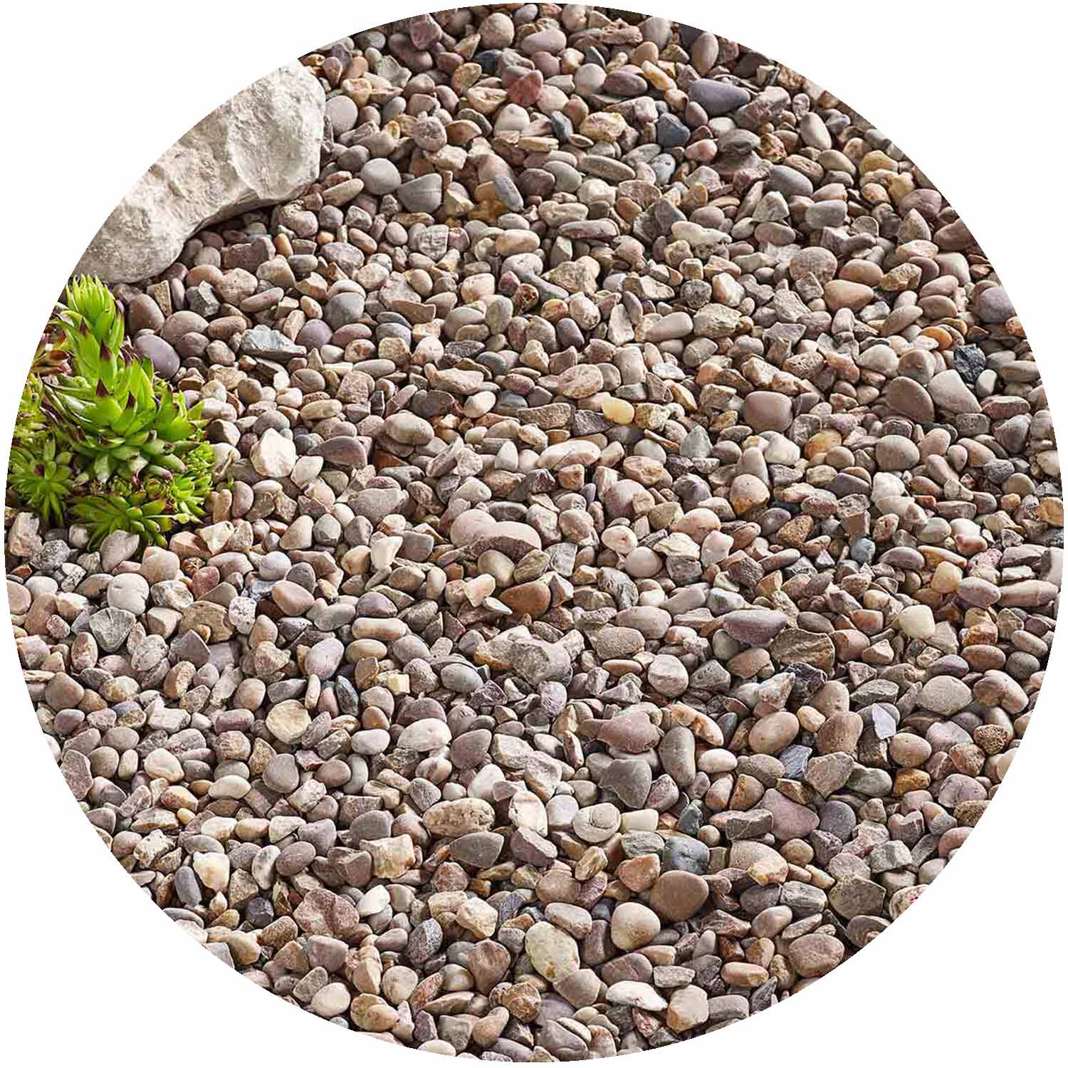 Premium Quartzite Pea Gravel 20mm Bulk Bag