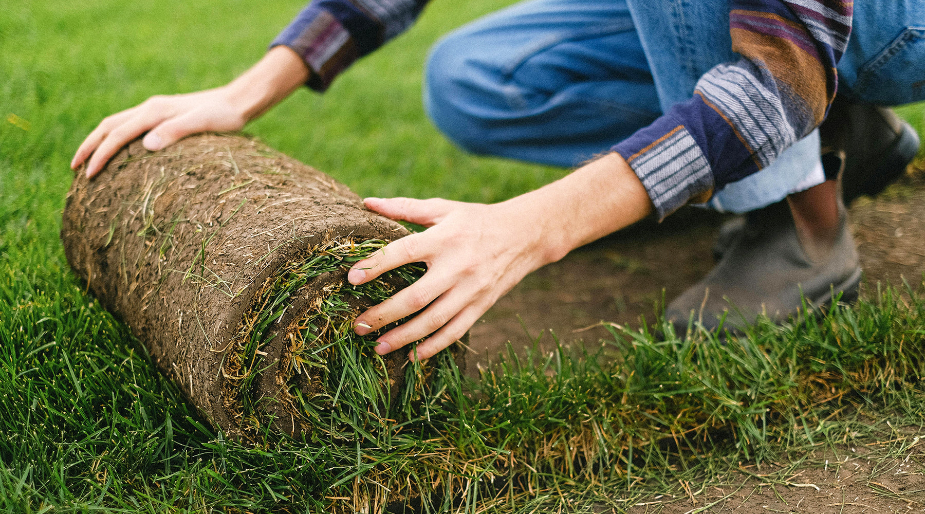 How to lay a lawn – to turf or to seed?