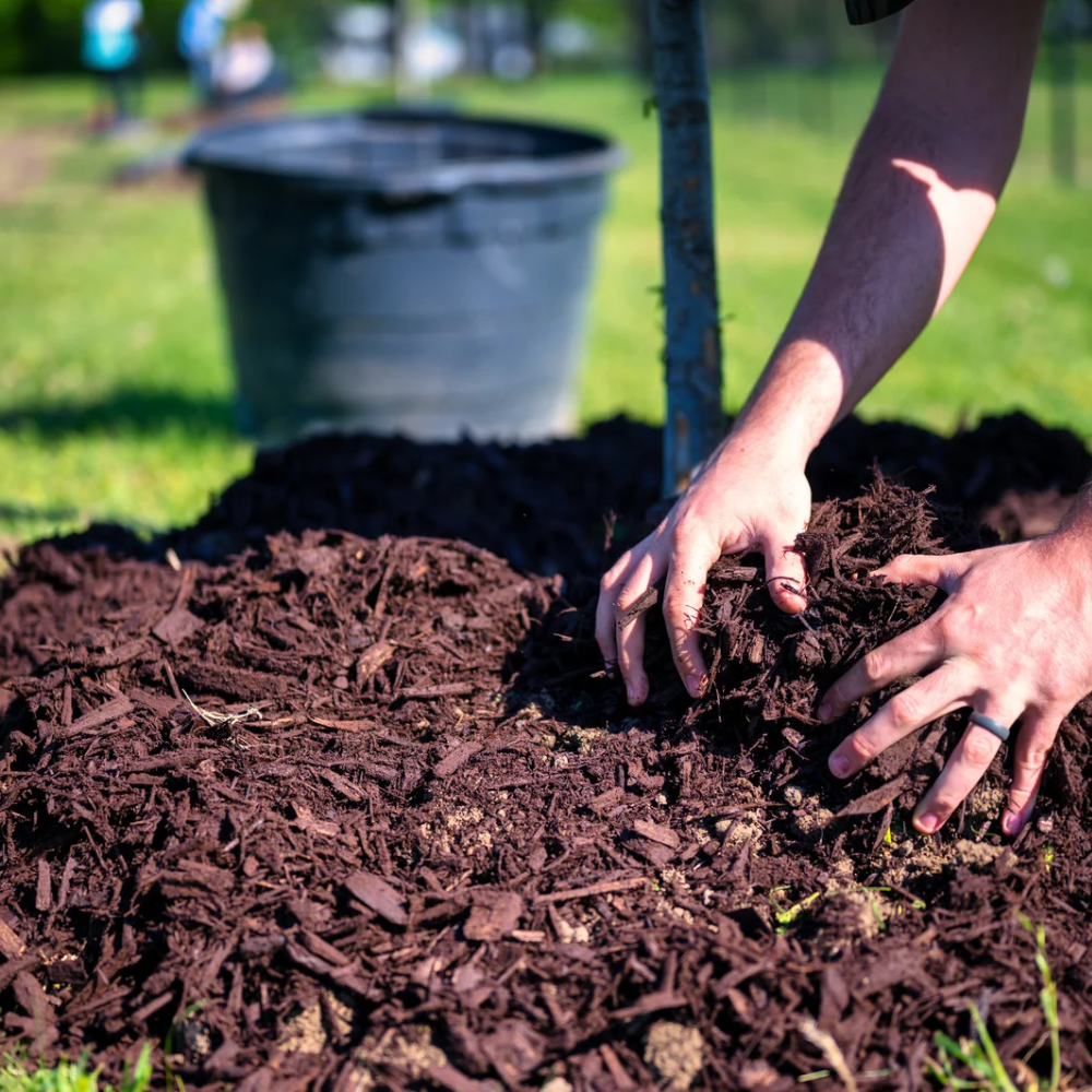 Soils and Mulch