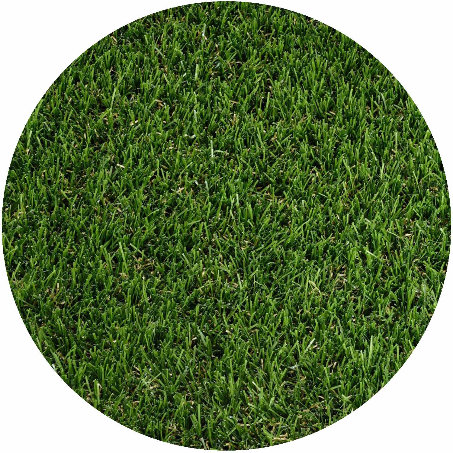 Lincoln 36mm Pile Artificial Grass per mtr