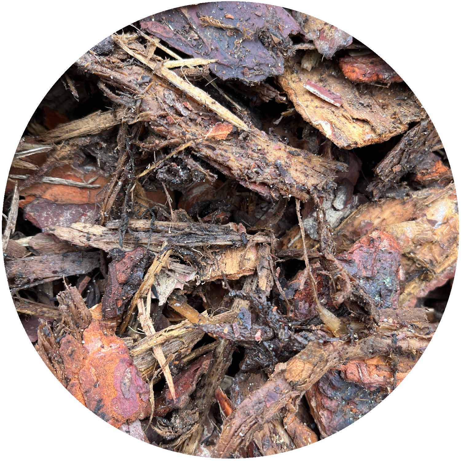 Pine Ornamental Bulk Bag