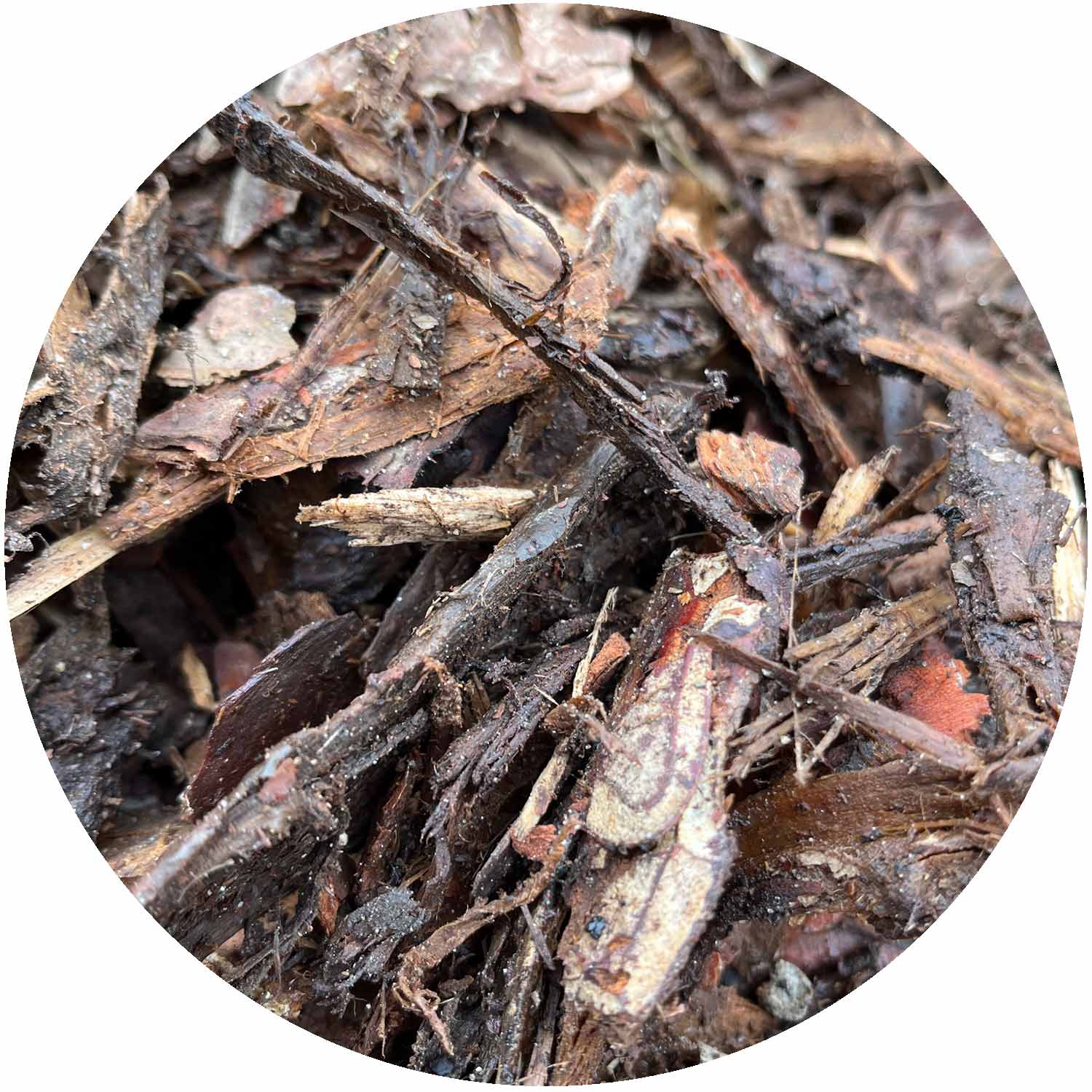 Pine Ornamental Bulk Bag