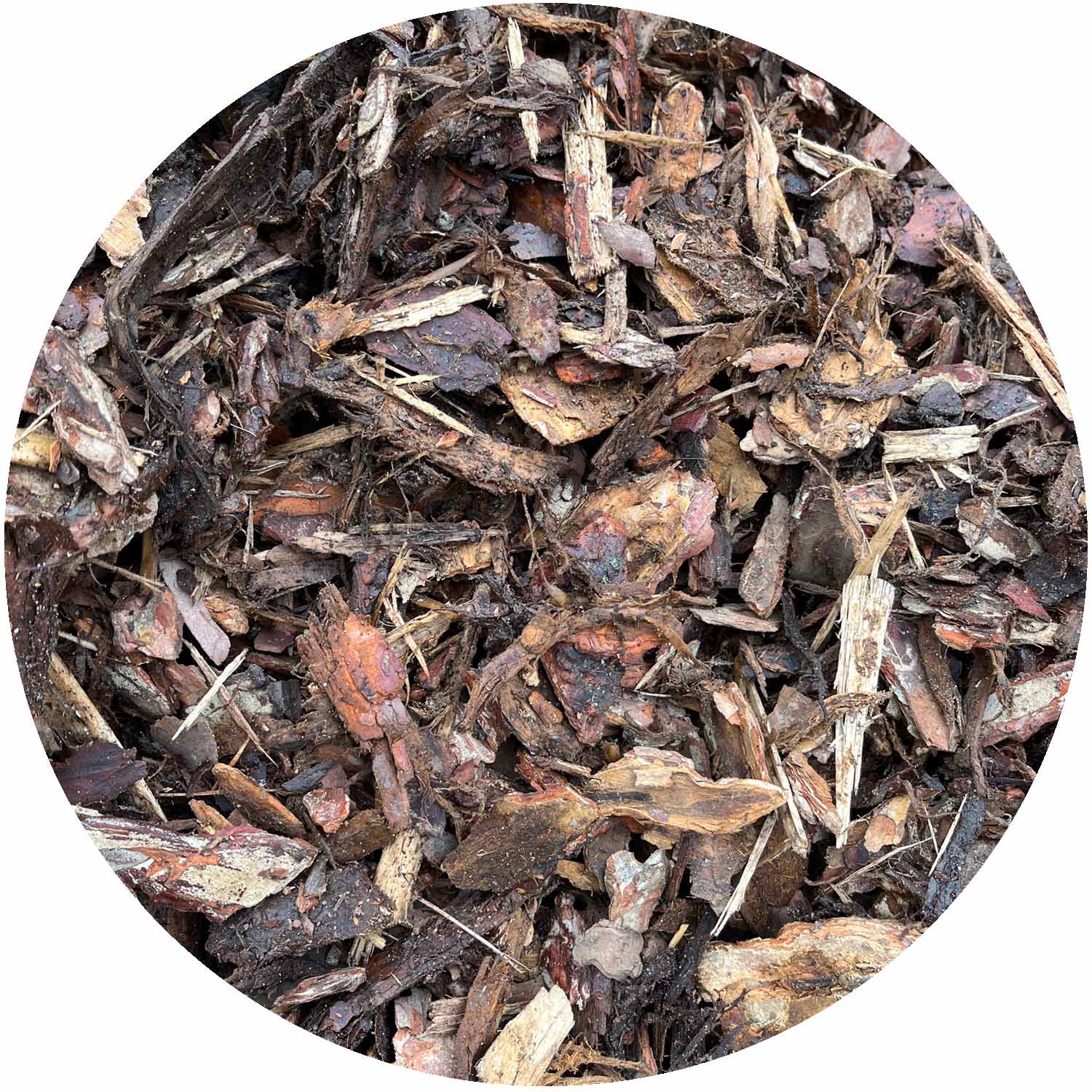 Pine Ornamental Bulk Bag