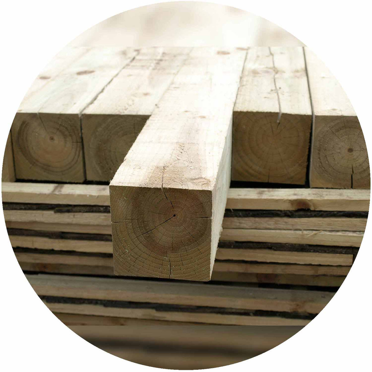 Timber Post 2400x100x100mm