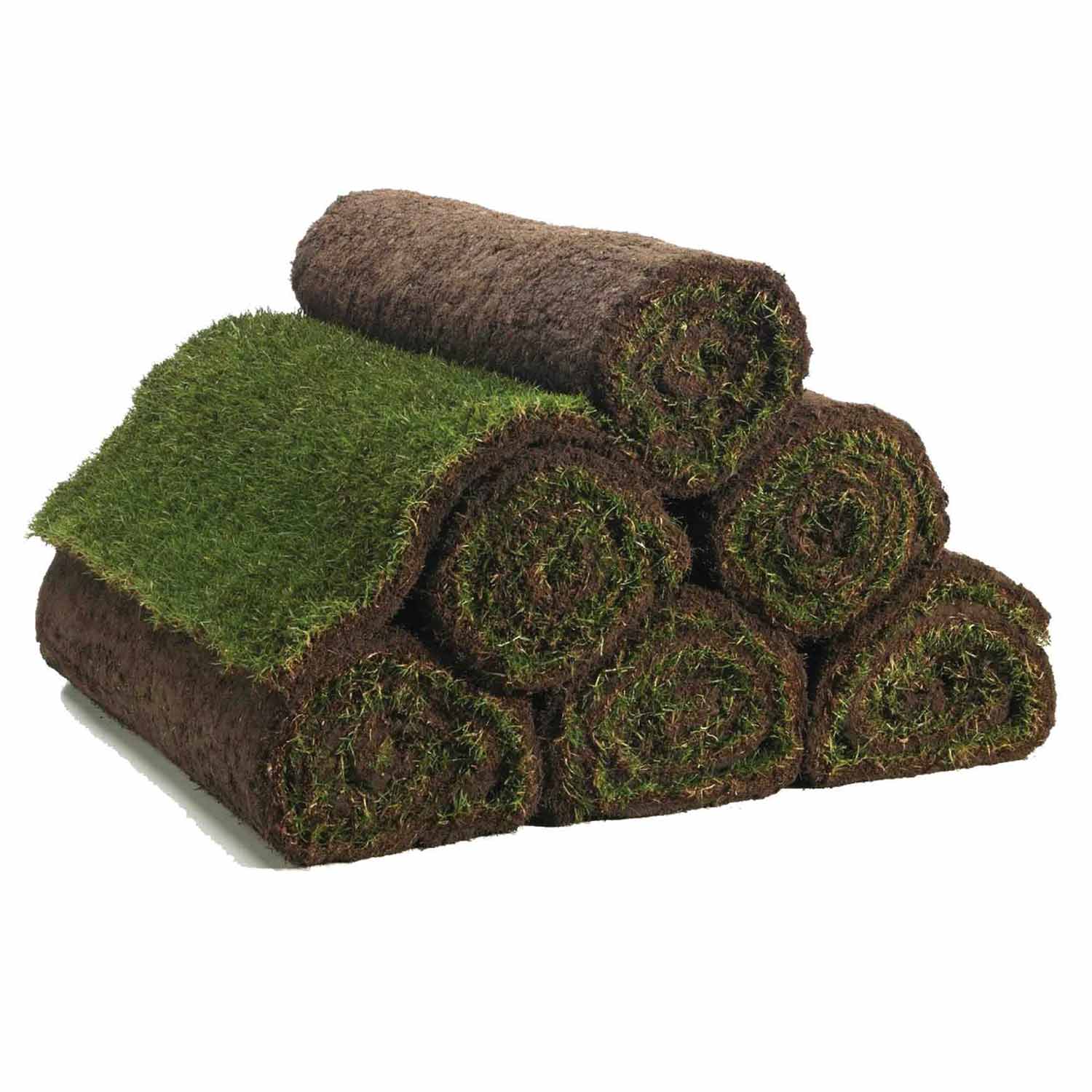 High Quality Turf 1 metre coverage (Fresh for Collection,  Delivery Thursdays Only)